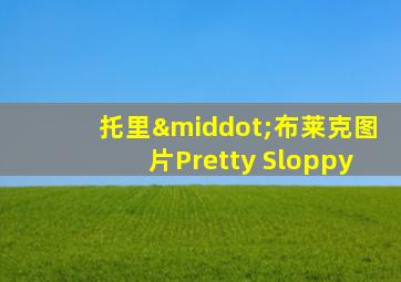 托里·布莱克图片Pretty Sloppy